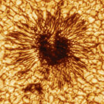 via HACKADAY: Radio Emissions Over Sunspots Challenge Models of Stellar Magnetism